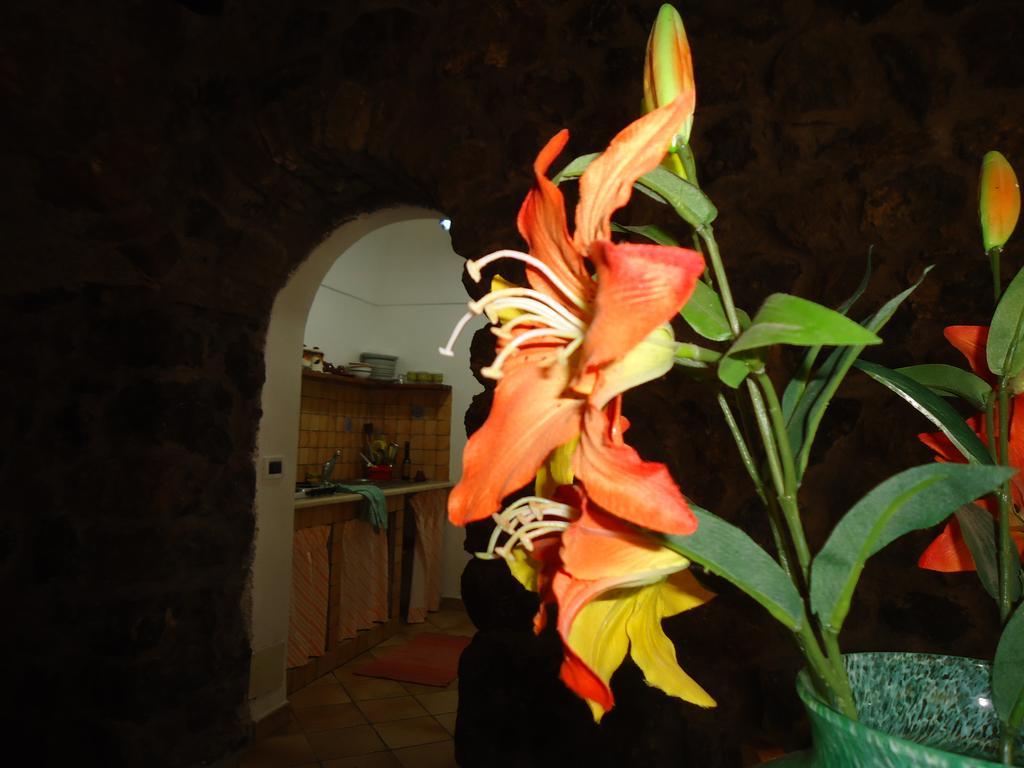 Agriturismo Zibibbodoro Scauri  Exteriör bild