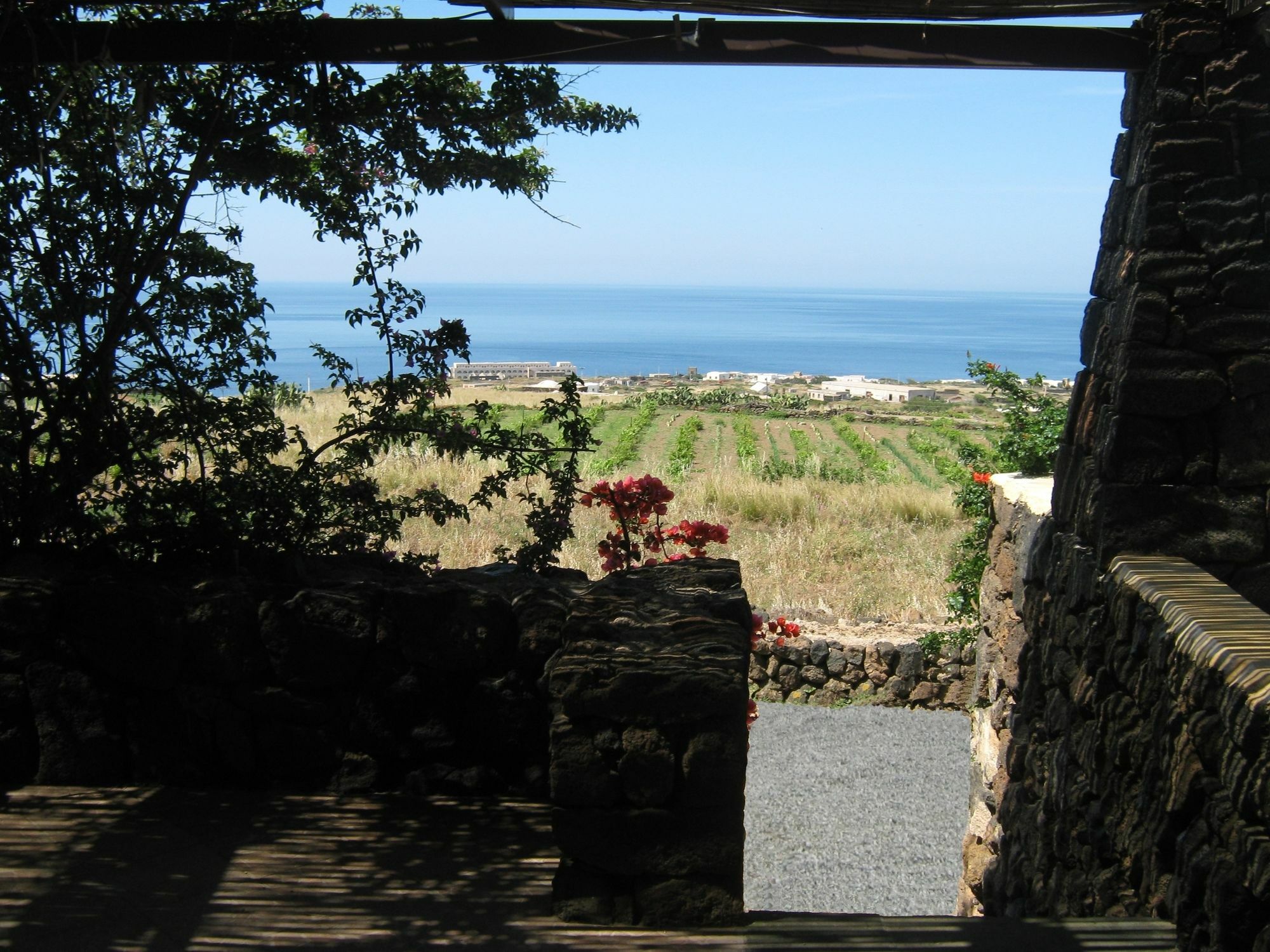Agriturismo Zibibbodoro Scauri  Exteriör bild
